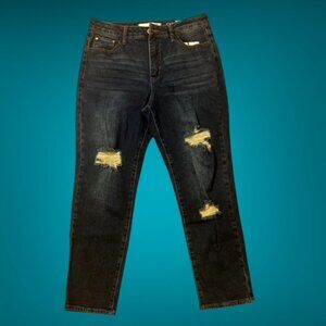 NWT !iT JEANS Carolyn High-Rise Relaxed Fit